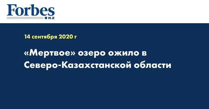 «Мертвое» озеро ожило в Северо-Казахстанской области  