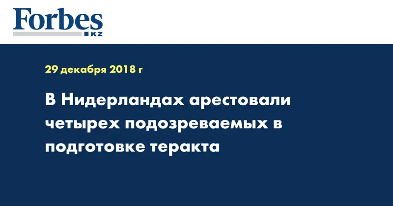 В Нидерландах арестовали четырех подозреваемых в подготовке теракта