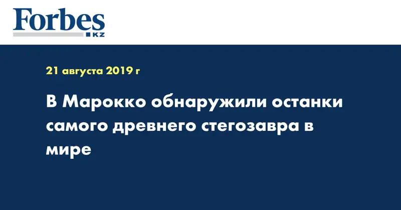 В Марокко обнаружили останки самого древнего стегозавра в мире