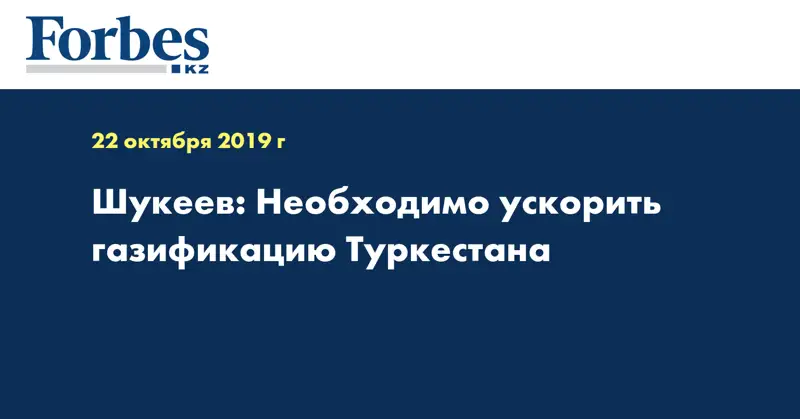 Шукеев: Необходимо ускорить газификацию Туркестана