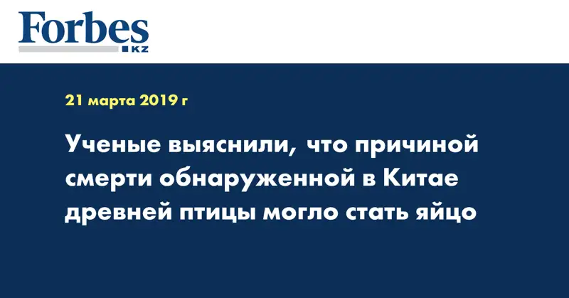 Ученые выяснили, что причиной смерти обнаруженной в Китае древней птицы могло стать яйцо