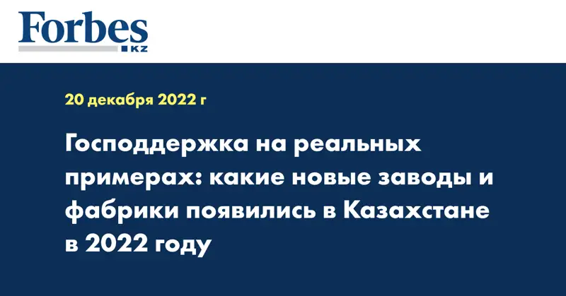 Господдержка на реальных примерах: какие новые заводы и фабрики появились в Казахстане в 2022 году