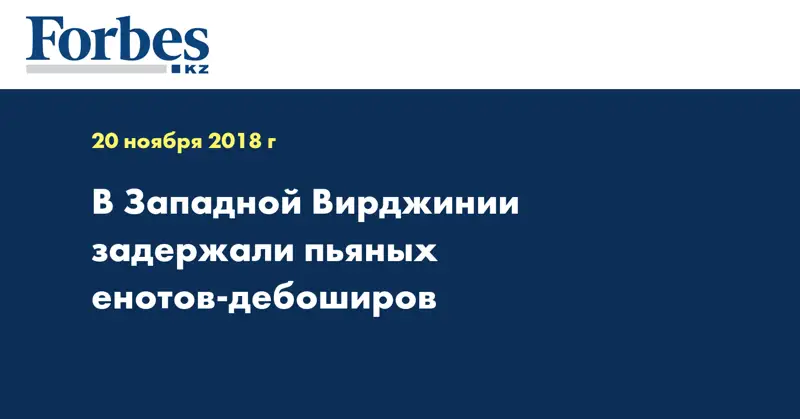 В Западной Вирджинии задержали пьяных енотов-дебоширов