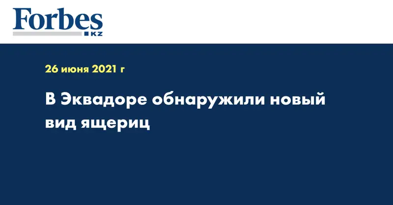 В Эквадоре обнаружили новый вид ящериц