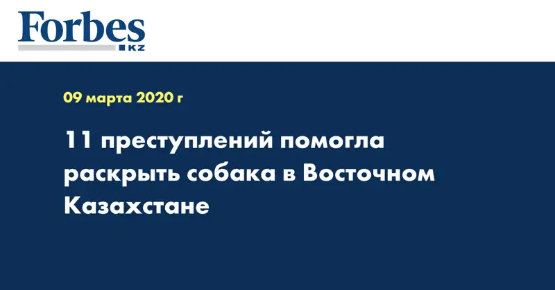 11 преступлений помогла раскрыть собака в Восточном Казахстане 