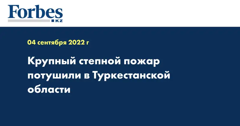 Крупный степной пожар потушили в Туркестанской области