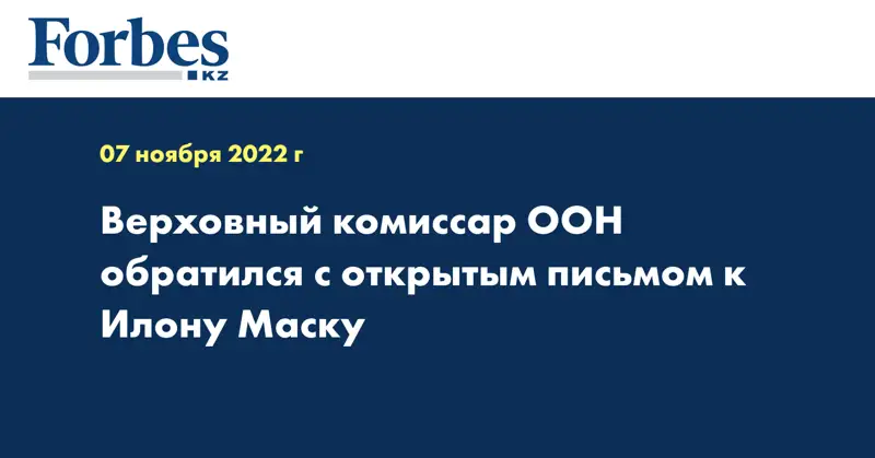 Верховный комиссар ООН обратился с открытым письмом к Илону Маску