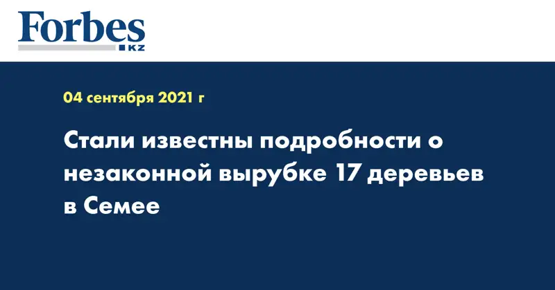 Стали известны подробности о незаконной вырубке 17 деревьев в Семее