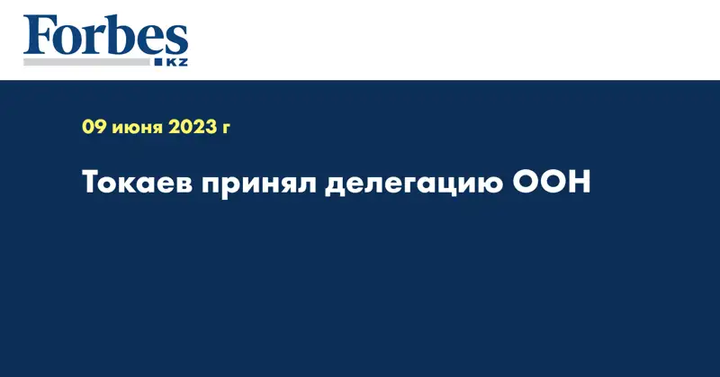 Токаев принял делегацию ООН