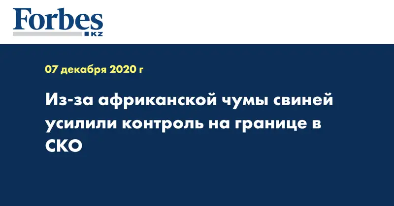 Из-за африканской чумы свиней усилили контроль на границе в СКО