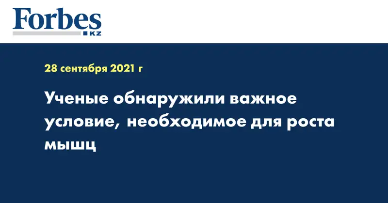 Ученые обнаружили важное условие, необходимое для роста мышц