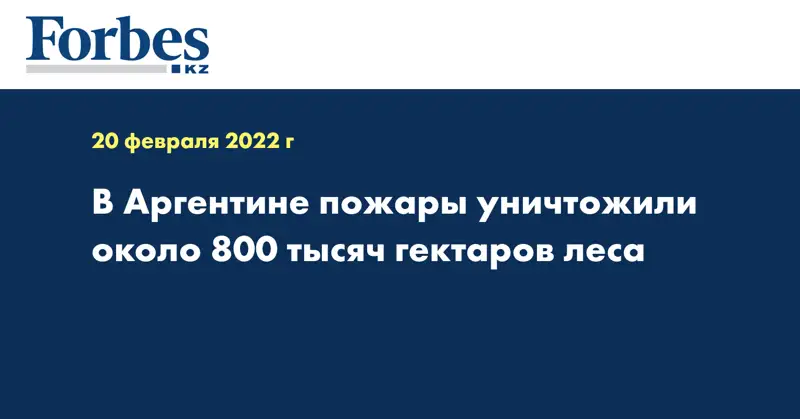 В Аргентине пожары уничтожили около 800 тысяч гектаров леса