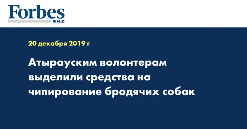  Атырауским волонтерам выделили средства на чипирование бродячих собак