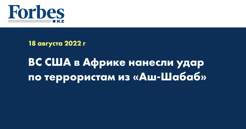 ВС США в Африке нанесли удар по террористам из «Аш-Шабаб»