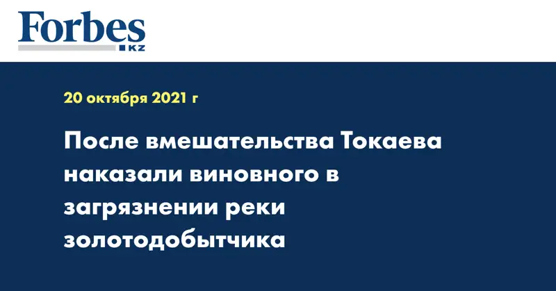 После вмешательства Токаева наказали виновного в загрязнении реки золотодобытчика 