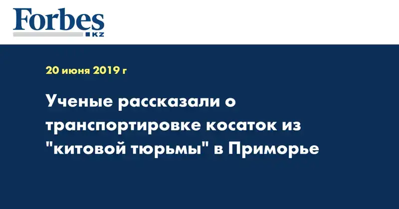 Ученые рассказали о транспортировке косаток из 