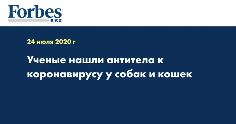Ученые нашли антитела к коронавирусу у собак и кошек