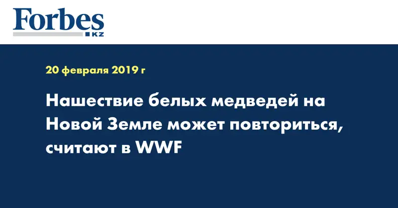 Нашествие белых медведей на Новой Земле может повториться, считают в WWF