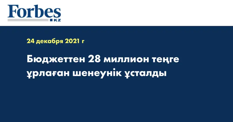 Бюджеттен 28 миллион теңге ұрлаған шенеунік ұсталды