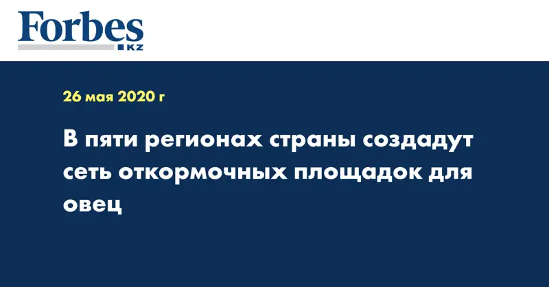 В пяти регионах страны создадут сеть откормочных площадок для овец