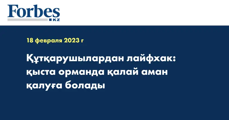 Құтқарушылардан лайфхак: қыста орманда қалай аман қалуға болады