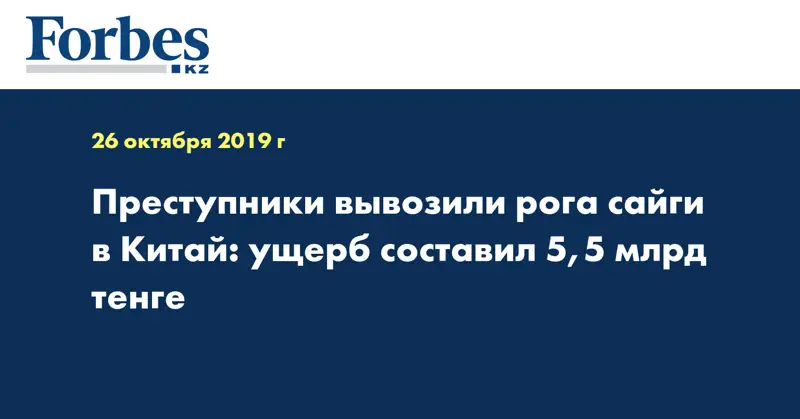 Преступники вывозили рога сайги в Китай: ущерб составил 5,5 млрд тенге 