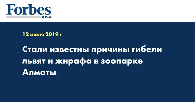 Стали известны причины гибели львят и жирафа в зоопарке Алматы