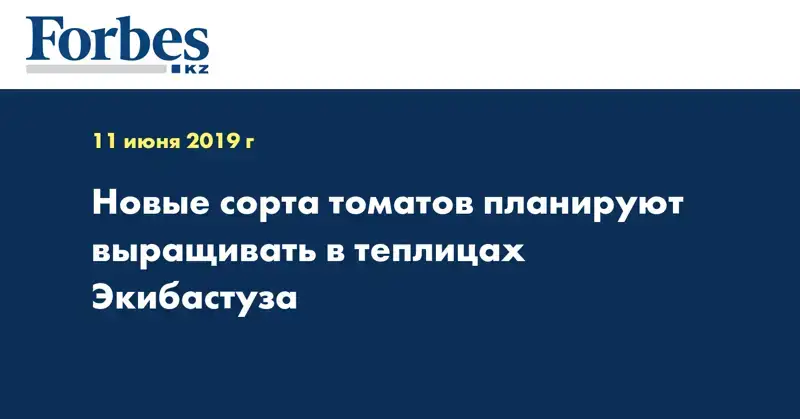 Новые сорта томатов планируют выращивать в теплицах Экибастуза