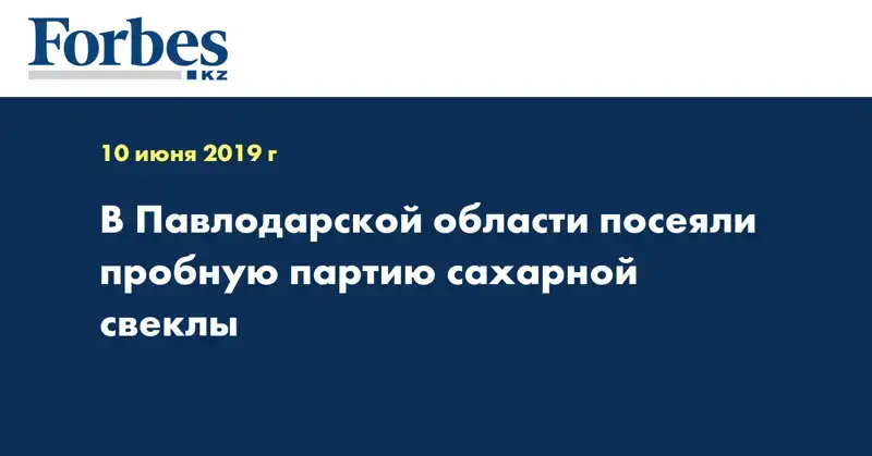 В Павлодарской области посеяли пробную партию сахарной свеклы