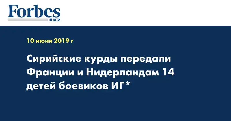 Сирийские курды передали Франции и Нидерландам 14 детей боевиков ИГ*