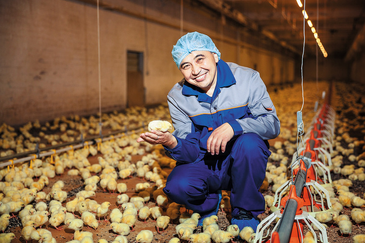 Серик Толукпаев