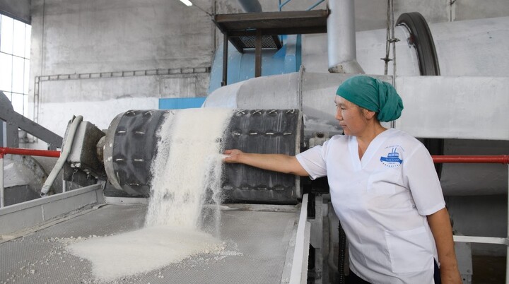 Аксуский сахарный завод после полного ремонта вновь начал свою работу. Общая сумма инвестиций составила порядка 15 млрд тенге, из которых 5 млрд тенге – лизинг основного оборудования от «НК «СПК «Жетiсу».