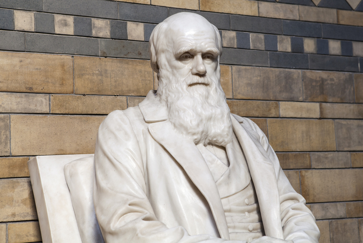 Статуя Чарльза Дарвина в музее естественной истории