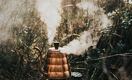 Boiling America's Economy