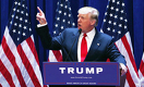 For the Love of Trump