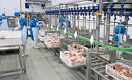 В СКО открыли новую птицефабрику