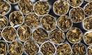 Как изменятся ставки акцизов на табачные изделия в Казахстане 