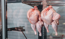 Казахстан увеличивает импорт мяса птицы из России