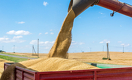 Россия пытается жёстко контролировать экспорт зерна на уровне ЕАЭС