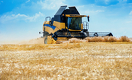 Kusto Agro готовится к сбору урожая в Украине
