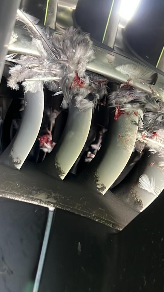 Попадание птицы в двигатель Airbus A320 Air Astana. Рейс КС877 Алматы - Атырау, 18 августа 2022