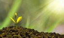 БЖЗҚ салымшыларының зейнетақы жинақтары 1 трлн теңгеге ұлғайды