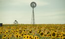 What the Energy Transition Needs