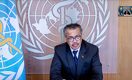 Токаев рассказал гендиректору ВОЗ о QazVac