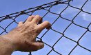 Сколько человек выйдут из колоний по амнистии 