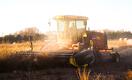 Kusto Agro собрала урожай озимых в Украине