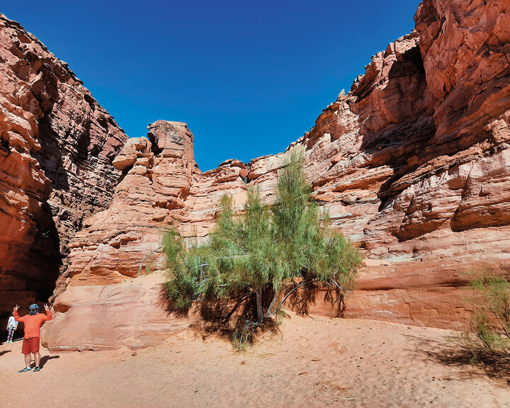 Синайская пустыня