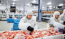 Кормильцы: как в Казахстане производят мясо и вытесняют импорт