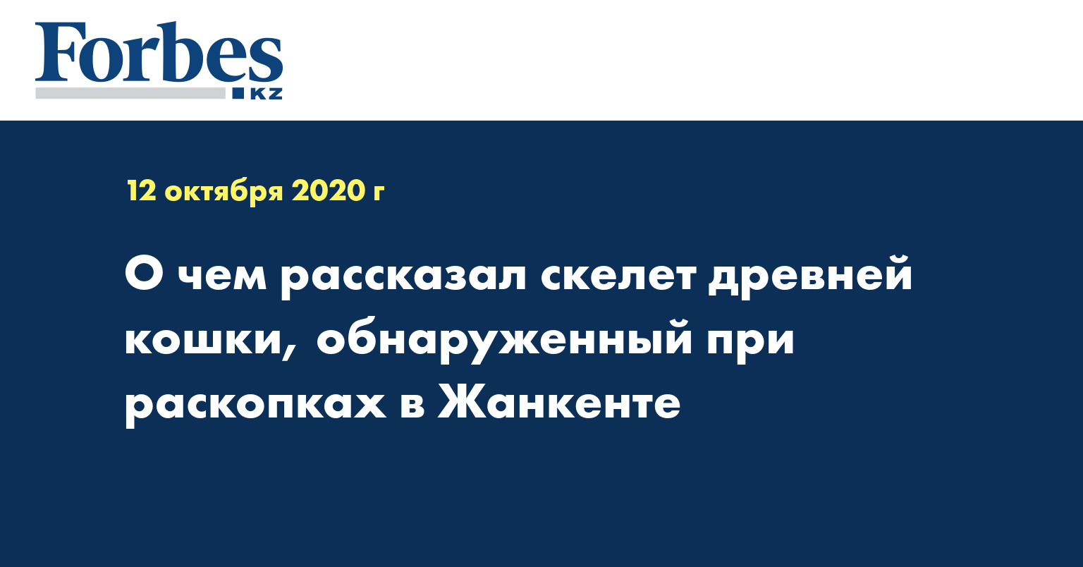 О чем рассказал скелет древней кошки, обнаруженный при раскопках в Жанкенте