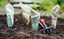 Какие дивиденды выплатит Kaspi Bank